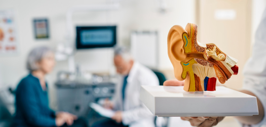 Specialized Audiology